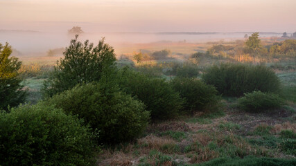 Poranne mgły w Dolinie Górnej Narwi, Podlasie, Polska © podlaski49
