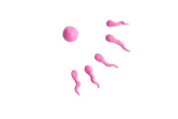 Concept image of sperm and egg. Play dough modelling.