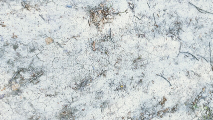 Dry grey ground surface (texture, background).