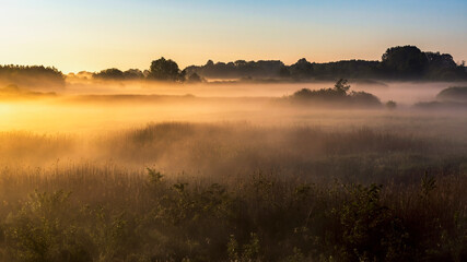 Poranne mgły w Dolinie Górnej Narwi, Podlasie, Polska © podlaski49