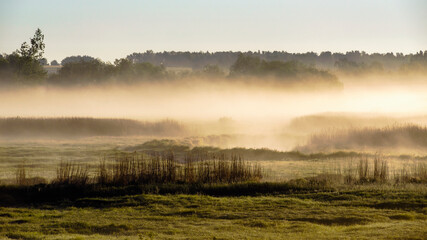 Poranne mgły w Dolinie Górnej Narwi, Podlasie, Polska © podlaski49