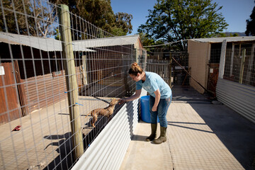 Woman with a dog in a dog shelter 