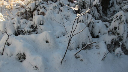 Snowy landscape with straws from the snow.