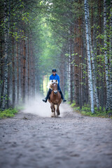 horse, animal, farm, brown, nature, horses, mare, woman, foal, horseback, riding, equine, grass, animals, equestrian, stallion, outdoors, beautiful, field, mammal, pasture, beauty, rider, young, herd,
