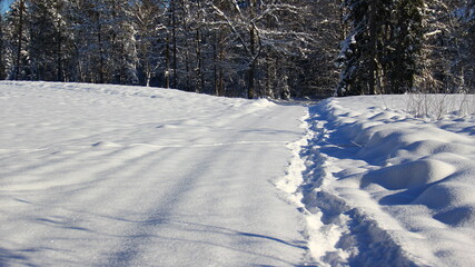 Trails, foot steps in the clod white snow.