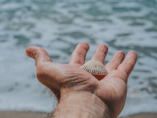 White Seashell In Male Hand On A Background Of Water. Seashell On A Background Of The Sea. Close-up . Summer Concept. Wallpaper. High Quality