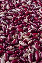 fresh organic natural beans on a white background