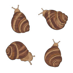Hand-drawn vector set of colored garden snails. Minimalist illustrations isolated on white background.  Stylized elements for cosmetic packaging design, banner, logo, print.
