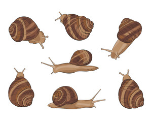 Big set of hand-drawn colored vector garden snails. Minimalist wildlife animals illustrations isolated on white background. Elements for cosmetic packaging design, logo, web banner, label or print.