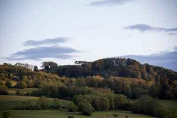 Hügellandschaft im Abendlicht