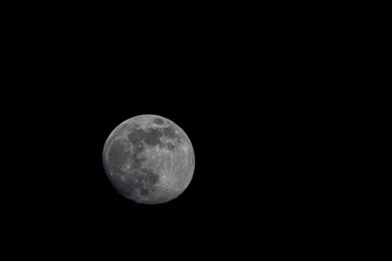 Mond