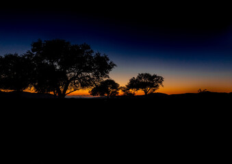 Sunset at the namib desert in Namibia