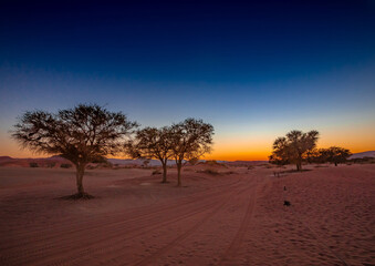 Spectacular morning sunrise at Sossusvlei in the Namib Desert