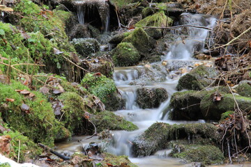 Small waterfall in the green forest.