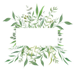 Watercolor illustration. Botanical label with  leaves. Herbal. Floral Design elements. Perfect for wedding invitations, greeting cards, blogs, posters and more