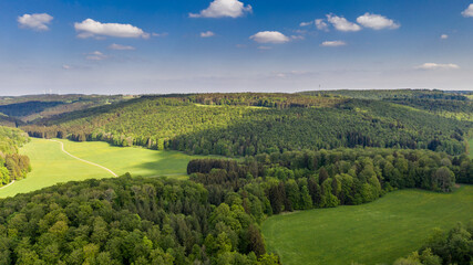 Fototapeta na wymiar Waldlandschaft - Luftbild