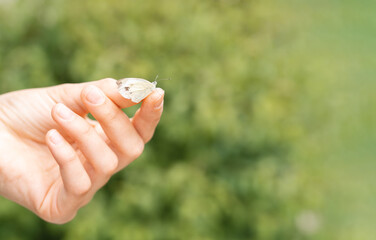 Little white butterfly on girl finger. Love to nature, freedom, lightness and easygoing concept. Hello summer. Mental health, inner peace, trust and hope.