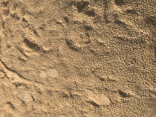 background texture sand on the city beach near the river