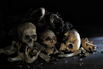 Obraz na płótnie Canvas Pile of Skulls and bone and jaw put on decay timber and the wooden table in old room which has dim light and dark background
