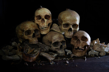 Pile of Skulls and bone and jaw put on decay timber and the wooden table in old room which has dim light and dark background