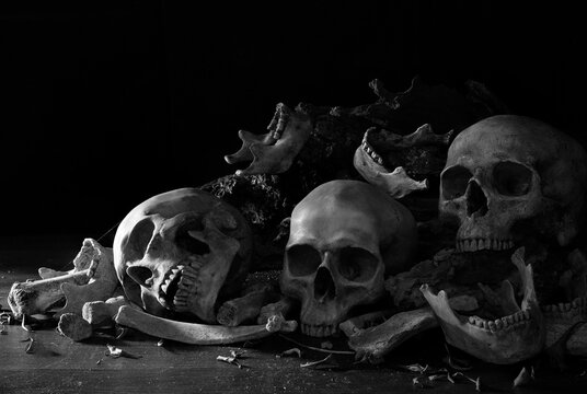 Pile of Skulls and bone and jaw put on decay timber and the wooden table in old room which has dim light and dark background