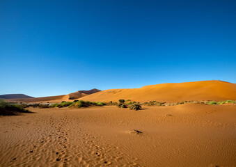 Fototapeta na wymiar Desert landscape in Sossusvlei in the Namib Desert in Namibia