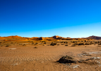 Desert landscape in Sossusvlei in the Namib Desert in Namibia