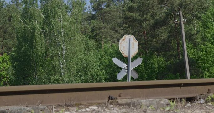 Old railroad tracks through the forest.