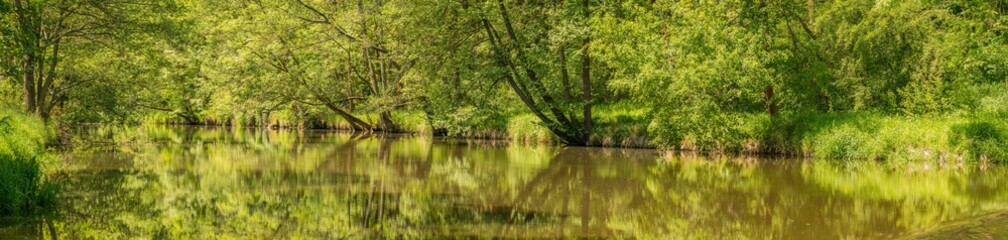 panorama of calm river mirroring green shore with trees