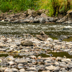 stones and rocks in small shallow river
