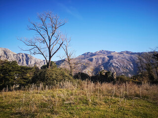 Fototapeta premium Scenic landscape of the mountain and trees from the top of Vrmac mountain in Montenegro on blue sky background, amazing Montenegro nature view