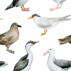 Watercolor seamless pattern with nothern birds. Antarctic tern, Imperial shag, Wandering albatross, South polar skua. Wild birds for baby textile, wallpaper, nursery decoration. Antarctic series.