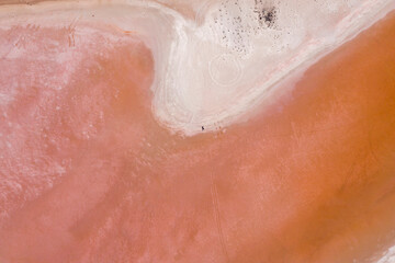 Obraz premium Pink lake in South Australia, caused by salt and algae. 