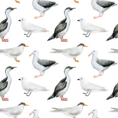 Watercolor seamless pattern with nothern birds. Antarctic tern, Imperial shag, Wandering albatross, Snow petrel. Wild birds for baby textile, wallpaper, nursery decoration. Antarctic series.