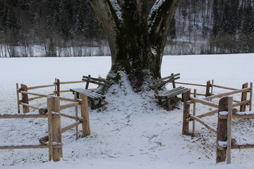 Empty bench at winter.
