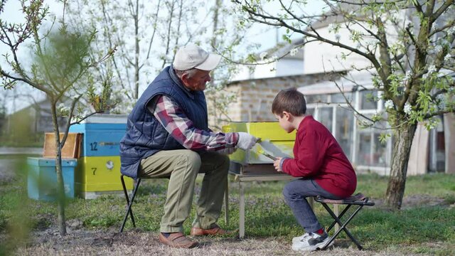 apiary, cute little boy in a place with his grandfather prepare old beehive for summer season, paint it with paint and brushes on background of flowering trees on a warm spring