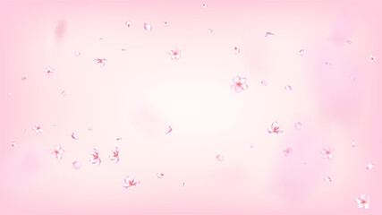 Fototapeta na wymiar Nice Sakura Blossom Isolated Vector. Pastel Falling 3d Petals Wedding Border. Japanese Beauty Spa Flowers Illustration. Valentine, Mother's Day Beautiful Nice Sakura Blossom Isolated on Rose