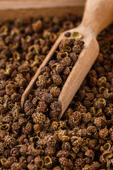 fragrant Sichuan pepper on white acrylic background