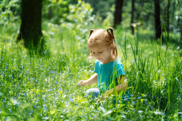 little girl picks flowers in a forest in tall grass