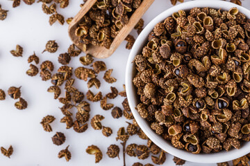 fragrant Sichuan pepper on white acrylic background