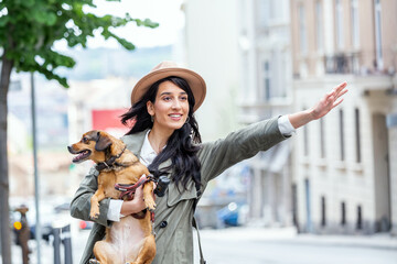 Young woman with dog waving to stop a taxi on the street. young female with funny dog stretching out arm and catching taxi while standing on roadside in city