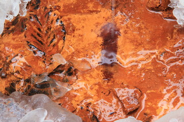 Water and strong iron/copper surface with leaves in.