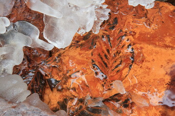 Frozen water and leaves in the coper like water.