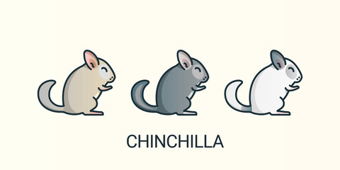 Chinchilla pets icons in flat line trendy style with different color . Line art. Beige, Standart Grey, Wilson White.