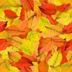 Naklejka na ściany i meble Autumn leaves seamless pattern on white background