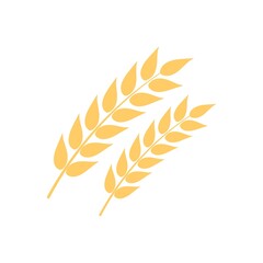 Wheat spikelets icon. Ears of wheat illustration. Flat icon design.