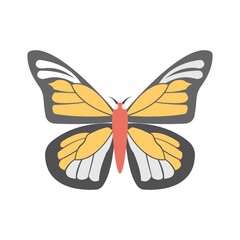 Colorful butterfly icon for abstract logo design.