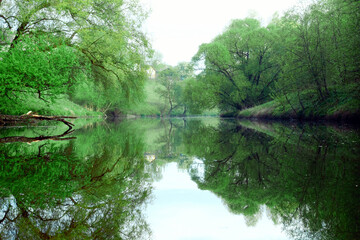 Reflection of green trees and banks in a calm river in the summer. River rafting in summer. Packrafting in wilderness.