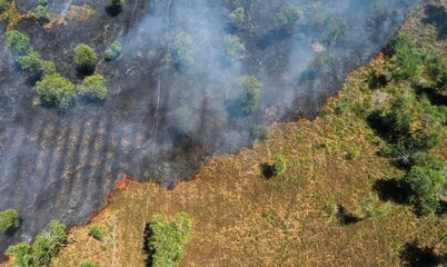 Air pollution. Fire on dry grass. 