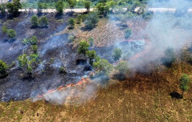Pollution concept. Fire on dry grass. Climate change.